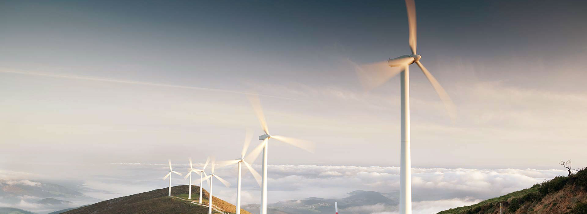 水蜜桃一二二区